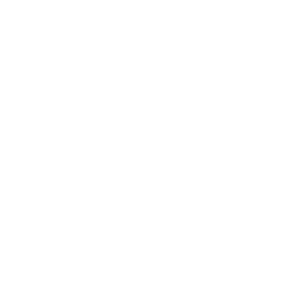 Clickfocus-logo-bco-02